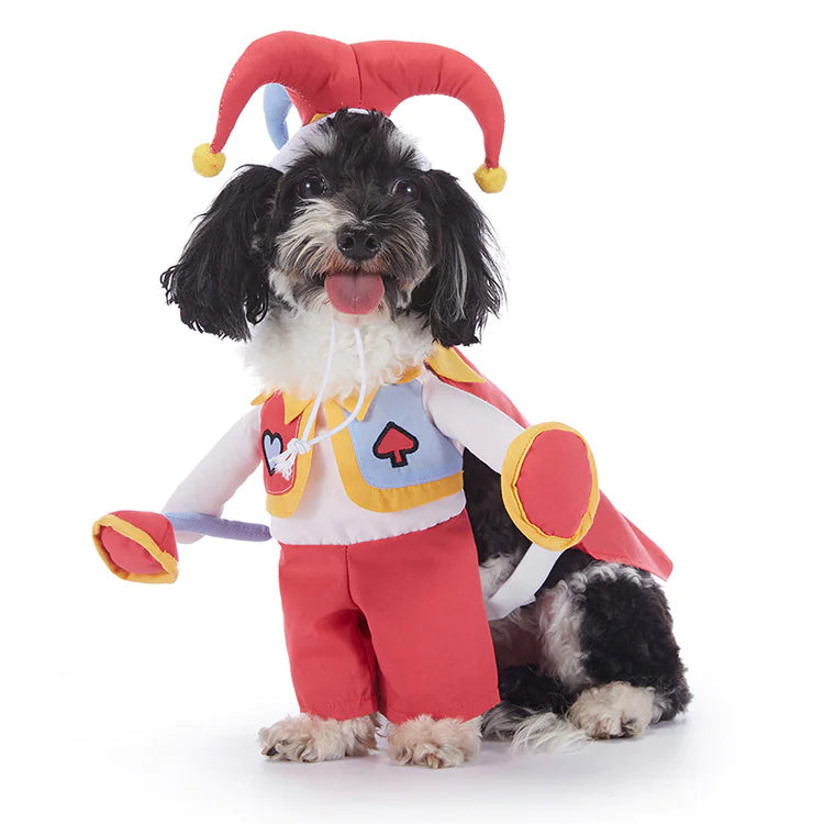 Halloween Dog Costumes - Winima