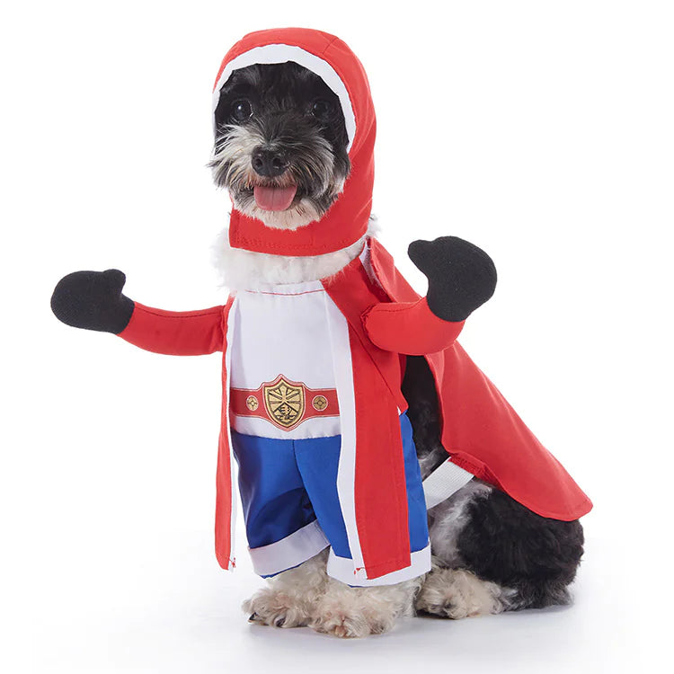 Halloween Dog Costumes for Spooktacular Pet Celebrations