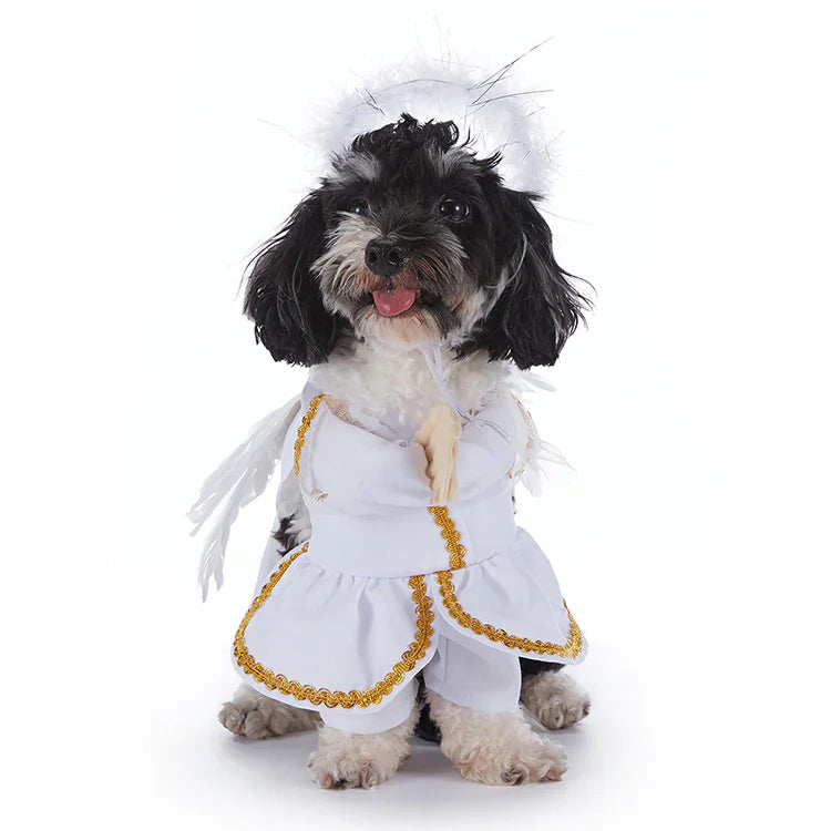 Halloween Dog Costumes - Winima